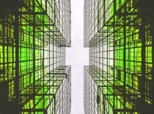 The Rise of Eco-Friendly Homes