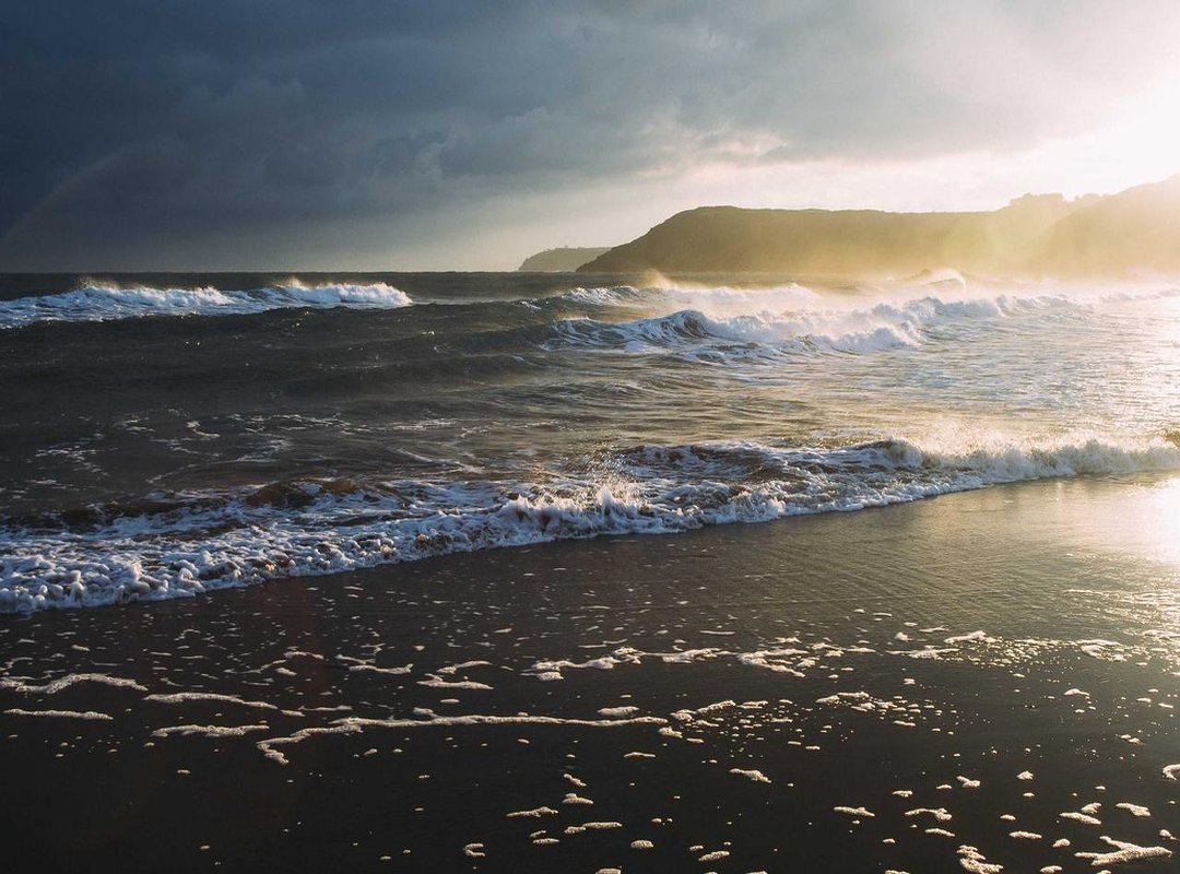 Beyond the Basics: Using Promo Codes and Referral Programs