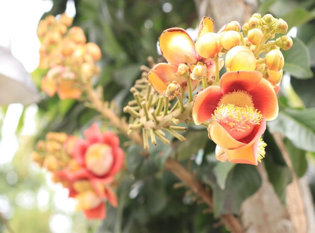 larawan paggalang sa matatanda