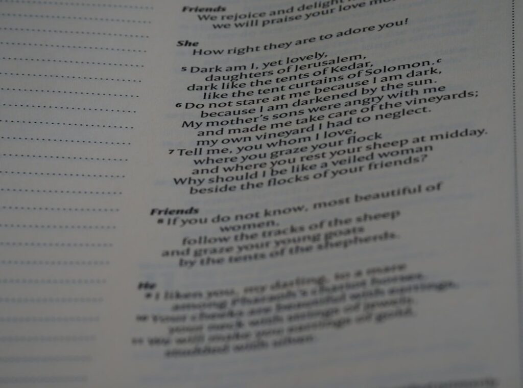 lyrics diskofunque francis preve