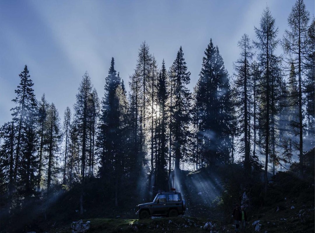 Crafting an Image: Style, Social Media, and Public Persona