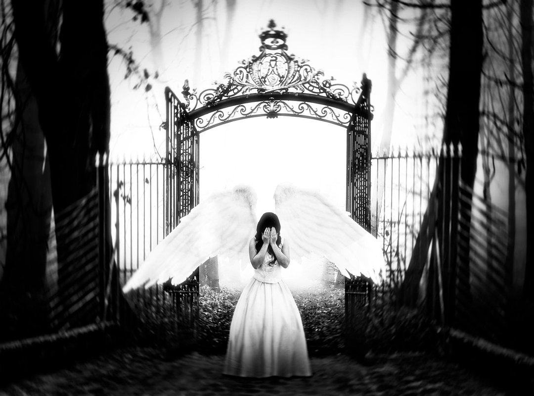 The Dangers of Chasing Unofficial Leaks