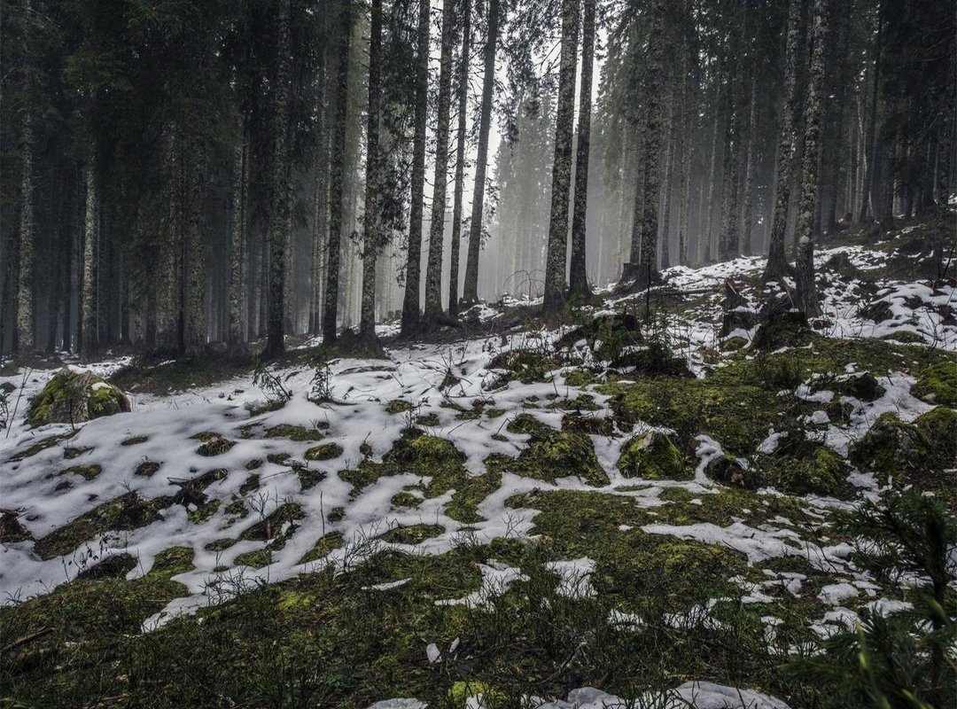 Friday: The Power of Reflection and Remembrance